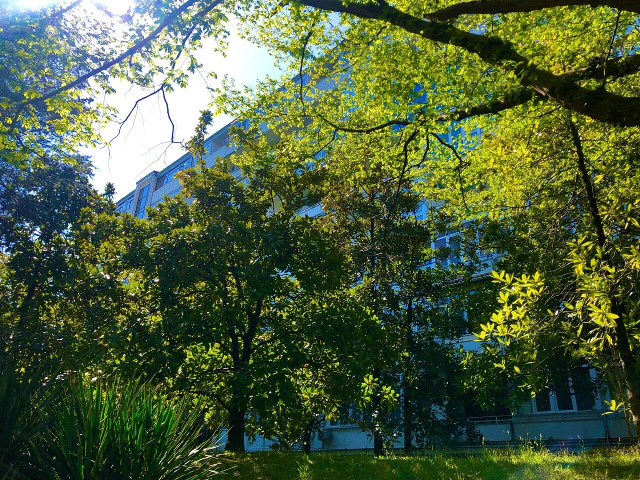 Фото Апартаментов Golden Holiday Сочи 19